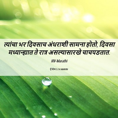 Picture 06 - ईयोब 5:14 MARIRV - त्यांचा भर दिवसाच - Bible Verse Picture