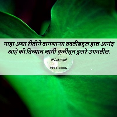Picture 06 - ईयोब 8:19 MARIRV - पाहा अशा रीतीने - Bible Verse Picture