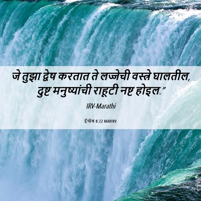 Picture 06 - ईयोब 8:22 MARIRV - जे तुझा द्वेष - Bible Verse Picture