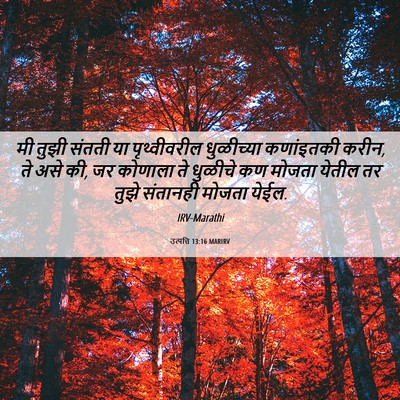 Picture 06 - उत्पत्ति 13:16 MARIRV - मी तुझी संतती या - Bible Verse Picture