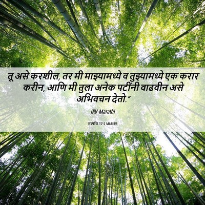 Picture 06 - उत्पत्ति 17:2 MARIRV - तू असे करशील, तर मी - Bible Verse Picture