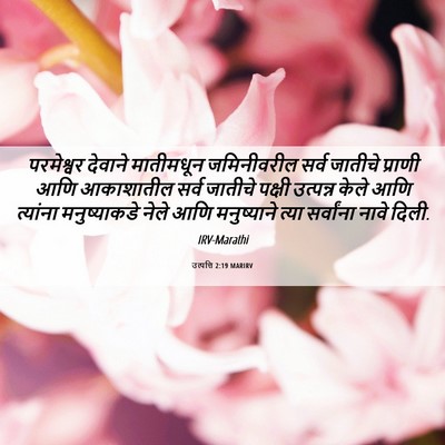 Picture 06 - उत्पत्ति 2:19 MARIRV - परमेश्वर देवाने - Bible Verse Picture