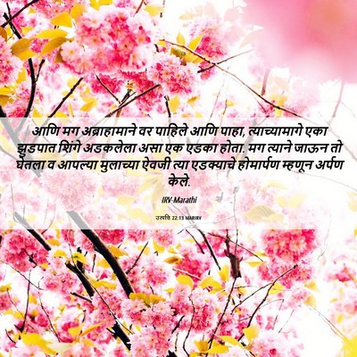 Picture 06 - उत्पत्ति 22:13 MARIRV - आणि मग - Bible Verse Picture