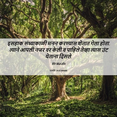 Picture 06 - उत्पत्ति 24:63 MARIRV - इसहाक संध्याकाळी - Bible Verse Picture