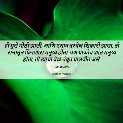 Picture 06 - उत्पत्ति 25:27 MARIRV - ही मुले मोठी झाली, - Bible Verse Picture