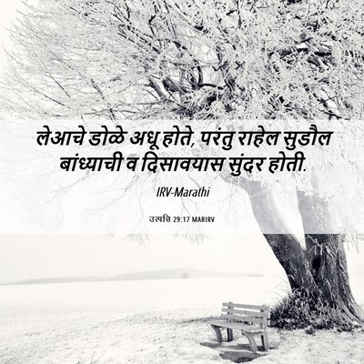 Picture 06 - उत्पत्ति 29:17 MARIRV - लेआचे डोळे अधू - Bible Verse Picture