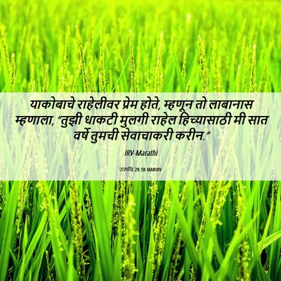 Picture 06 - उत्पत्ति 29:18 MARIRV - याकोबाचे राहेलीवर - Bible Verse Picture
