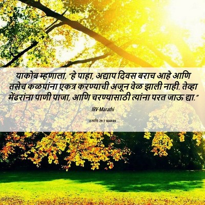 Picture 06 - उत्पत्ति 29:7 MARIRV - याकोब म्हणाला, “हे - Bible Verse Picture