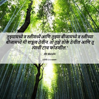 Picture 06 - उत्पत्ति 3:15 MARIRV - तुझ्यामध्ये व - Bible Verse Picture