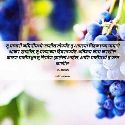 Picture 06 - उत्पत्ति 3:19 MARIRV - तू माघारी - Bible Verse Picture