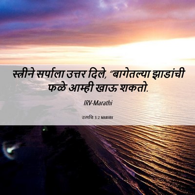 Picture 06 - उत्पत्ति 3:2 MARIRV - स्त्रीने सर्पाला - Bible Verse Picture