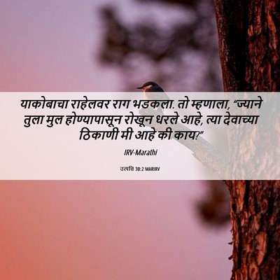 Picture 06 - उत्पत्ति 30:2 MARIRV - याकोबाचा राहेलवर - Bible Verse Picture