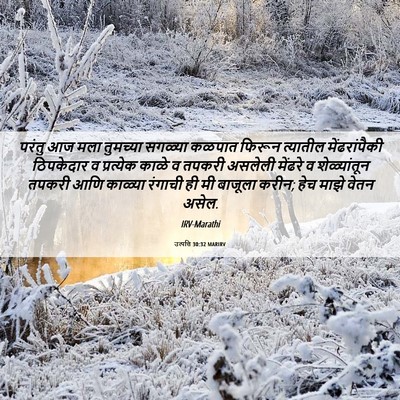 Picture 06 - उत्पत्ति 30:32 MARIRV - परंतु आज मला - Bible Verse Picture