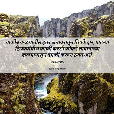 Picture 06 - उत्पत्ति 30:40 MARIRV - याकोब कळपातील इतर - Bible Verse Picture