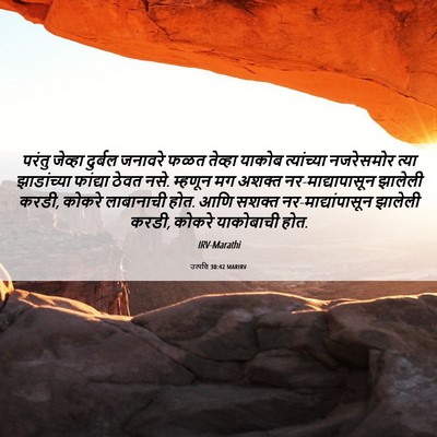 Picture 06 - उत्पत्ति 30:42 MARIRV - परंतु जेव्हा - Bible Verse Picture