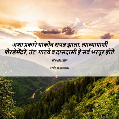 Picture 06 - उत्पत्ति 30:43 MARIRV - अशा प्रकारे याकोब - Bible Verse Picture
