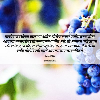 Picture 06 - उत्पत्ति 37:2 MARIRV - याकोबासंबंधीच्या - Bible Verse Picture