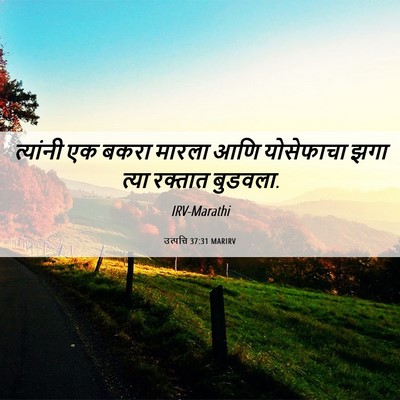 Picture 06 - उत्पत्ति 37:31 MARIRV - त्यांनी एक बकरा - Bible Verse Picture