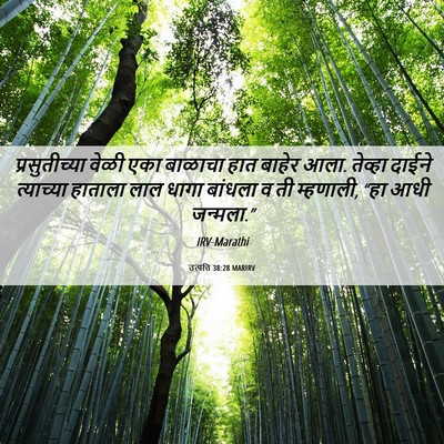 Picture 06 - उत्पत्ति 38:28 MARIRV - प्रसुतीच्या वेळी - Bible Verse Picture