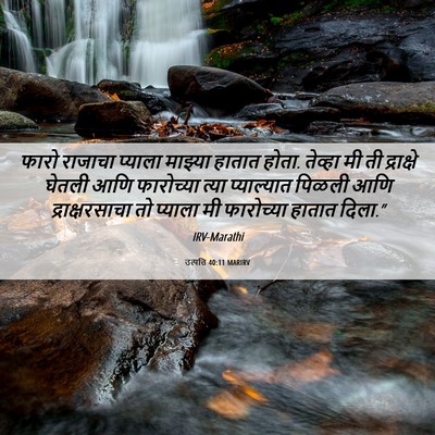 Picture 06 - उत्पत्ति 40:11 MARIRV - फारो राजाचा - Bible Verse Picture