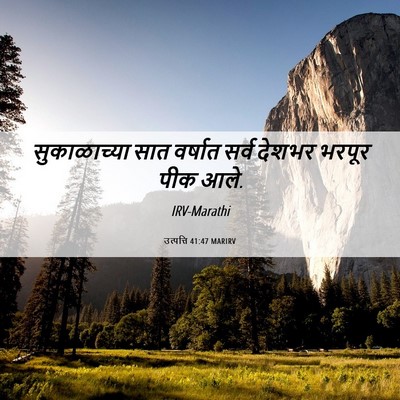 Picture 06 - उत्पत्ति 41:47 MARIRV - सुकाळाच्या सात - Bible Verse Picture