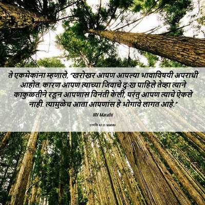 Picture 06 - उत्पत्ति 42:21 MARIRV - ते एकमेकांना - Bible Verse Picture