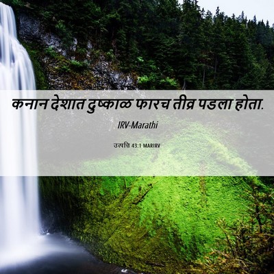 Picture 06 - उत्पत्ति 43:1 MARIRV - कनान देशात - Bible Verse Picture