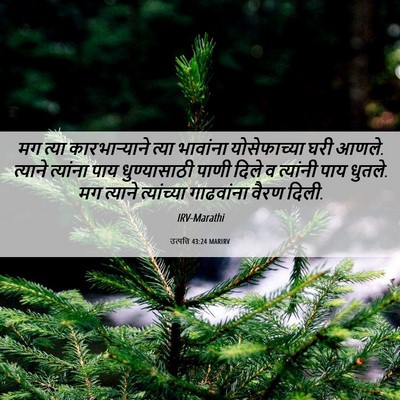 Picture 06 - उत्पत्ति 43:24 MARIRV - मग त्या - Bible Verse Picture