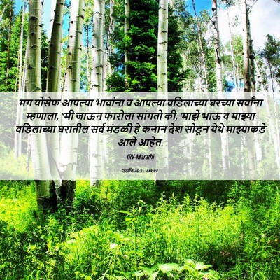 Picture 06 - उत्पत्ति 46:31 MARIRV - मग योसेफ आपल्या - Bible Verse Picture
