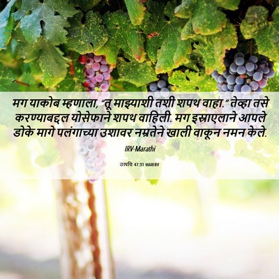 Picture 06 - उत्पत्ति 47:31 MARIRV - मग याकोब म्हणाला, - Bible Verse Picture