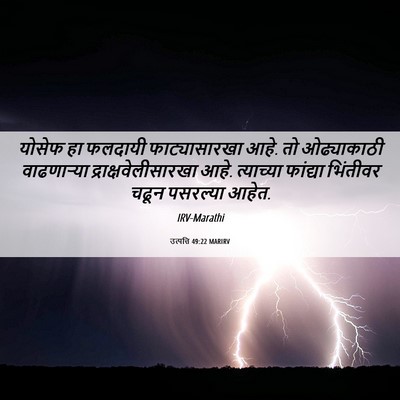 Picture 06 - उत्पत्ति 49:22 MARIRV - योसेफ हा फलदायी - Bible Verse Picture