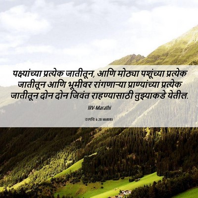 Picture 06 - उत्पत्ति 6:20 MARIRV - पक्ष्यांच्या - Bible Verse Picture