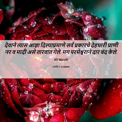 Picture 06 - उत्पत्ति 7:16 MARIRV - देवाने त्यास - Bible Verse Picture