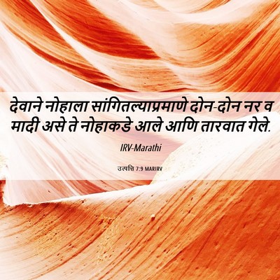 Picture 06 - उत्पत्ति 7:9 MARIRV - देवाने नोहाला - Bible Verse Picture