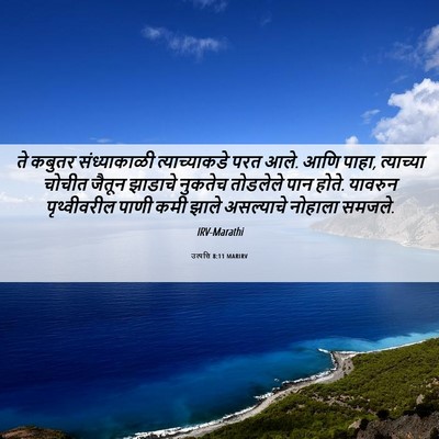 Picture 06 - उत्पत्ति 8:11 MARIRV - ते कबुतर - Bible Verse Picture