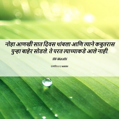 Picture 06 - उत्पत्ति 8:12 MARIRV - नोहा आणखी सात दिवस - Bible Verse Picture