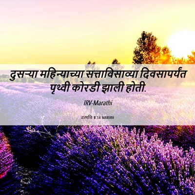Picture 06 - उत्पत्ति 8:14 MARIRV - दुसऱ्या - Bible Verse Picture