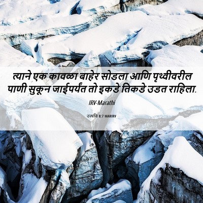Picture 06 - उत्पत्ति 8:7 MARIRV - त्याने एक कावळा - Bible Verse Picture