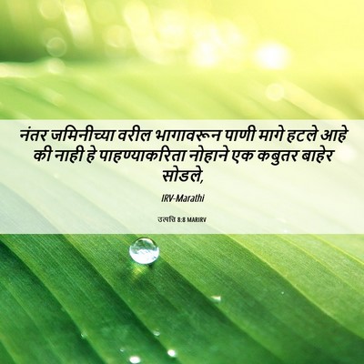Picture 06 - उत्पत्ति 8:8 MARIRV - नंतर जमिनीच्या - Bible Verse Picture