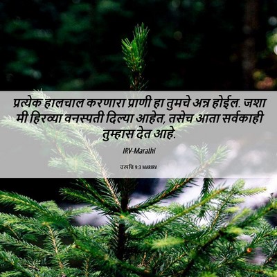 Picture 06 - उत्पत्ति 9:3 MARIRV - प्रत्येक हालचाल - Bible Verse Picture