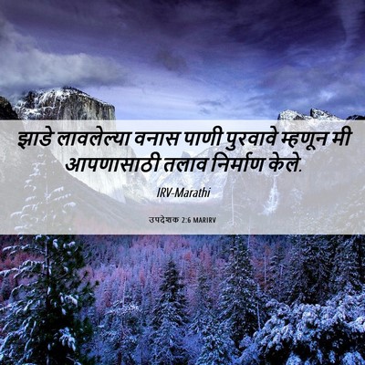Picture 06 - उपदेशक 2:6 MARIRV - झाडे लावलेल्या - Bible Verse Picture