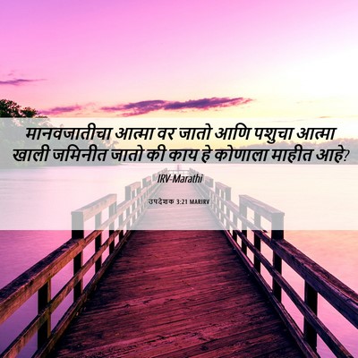 Picture 06 - उपदेशक 3:21 MARIRV - मानवजातीचा आत्मा - Bible Verse Picture