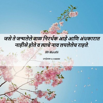 Picture 06 - उपदेशक 6:4 MARIRV - जसे ते जन्मलेले - Bible Verse Picture