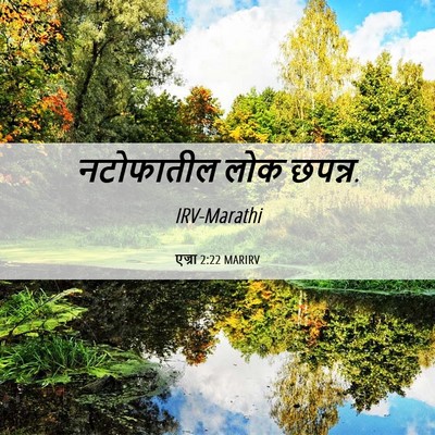 Picture 06 - एज्रा 2:22 MARIRV - नटोफातील लोक - Bible Verse Picture