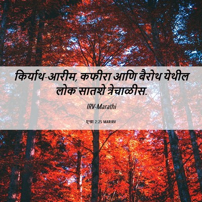 Picture 06 - एज्रा 2:25 MARIRV - किर्याथ-आरीम, - Bible Verse Picture