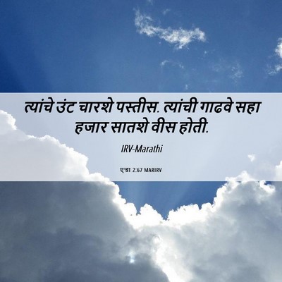 Picture 06 - एज्रा 2:67 MARIRV - त्यांचे उंट चारशे - Bible Verse Picture