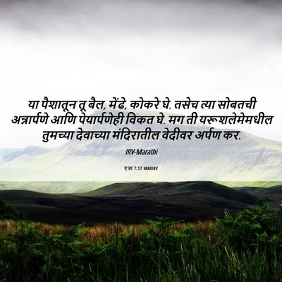 Picture 06 - एज्रा 7:17 MARIRV - या पैशातून तू बैल, - Bible Verse Picture