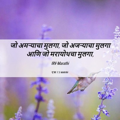 Picture 06 - एज्रा 7:3 MARIRV - जो अमऱ्याचा मुलगा, - Bible Verse Picture