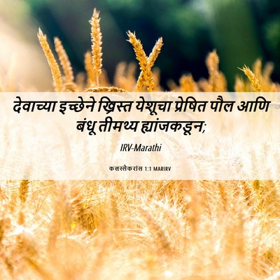 Picture 06 - कलस्सैकरांस 1:1 MARIRV - देवाच्या इच्छेने - Bible Verse Picture
