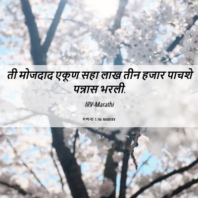 Picture 06 - गणना 1:46 MARIRV - ती मोजदाद एकूण सहा - Bible Verse Picture